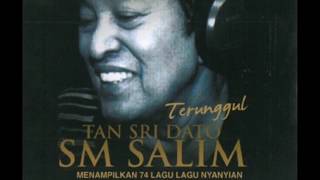 SM Salim  Pantun Budi Official Audio Video [upl. by Jerusalem]