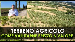 Come valutare il Prezzo di un Terreno Agricolo  Gli aspetti Ambientali più importanti [upl. by Htebsle]