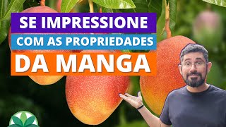 Se impressione com as propriedades medicinais da MANGA [upl. by Ydne262]