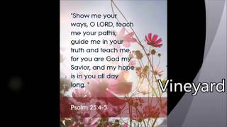 Teach me your way O Lord Undivided heart  Vineyard [upl. by Ziwot]