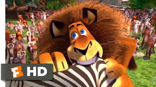 Madagascar 2005  Alex Goes Crazy Scene 710  Movieclips [upl. by Bagley]