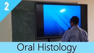 Oral Histology 2  ENAMEL  دكتور عباس قريب الله [upl. by Roche]