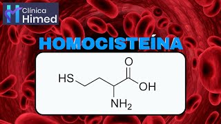 Como está a sua HOMOSTEÍNA  CLÍNICA HIMED [upl. by Suehtomit669]