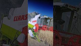 Diese wunderschöne Aussicht Landwirtschaft Unterhaltung LS22 Claas Lexion Mähdrescher [upl. by Louis]