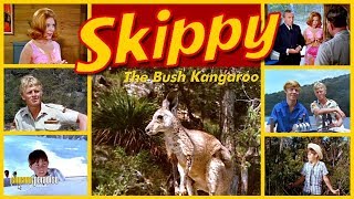 Skippy the Bush Kangaroo  Intro 1969 [upl. by Fen]