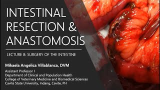 Lecture 83 Intestinal Resection and Anastomosis [upl. by Ulrika]