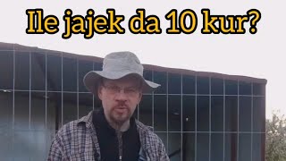 Ile jajek dziennie da 10 kur [upl. by Ainecey941]