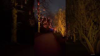 Christmas at Kew 🎄🩷 [upl. by Justinian]