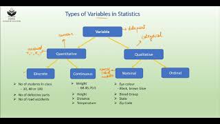 Types of Variables in Statistics [upl. by Abe]