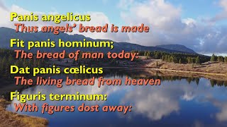 Panis Angelicus Bread of Angels with lyrics [upl. by Yarised]