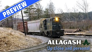 White Mountain switcher PREVIEW  Allagash up close and personal  Mike Confalone [upl. by Cormack]