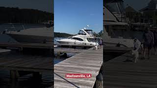 Sunshiny Day tchefuncteriver woodenboats handcrafted woodworking shorts ​⁠shortvideo boat [upl. by Anivlem]