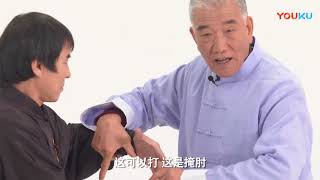 Cheng Style Bagua routine and technical application Liu Jing Ru [upl. by Cocke]