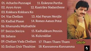 Udit Narayan Tamil Hits  All Time Favourite  Udit Narayan Tamil Songs Collection  Audio Jukebox [upl. by Sanyu]