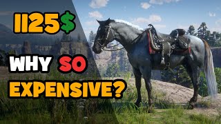 Why New Horses are so expensive in Red Dead Online New Missouri Fox Trotter Tested [upl. by Enixam668]