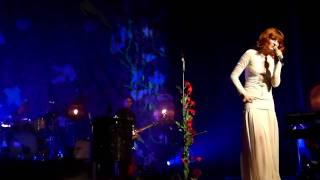 HD Florence  the Machine  Strangeness and Charm The Wiltern 11610 [upl. by Survance]