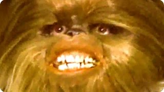 Every Wookie Sound From The Star Wars Holiday Special [upl. by Okimuy900]