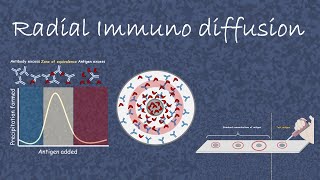 Radial Immuno Diffusion [upl. by Inanak]