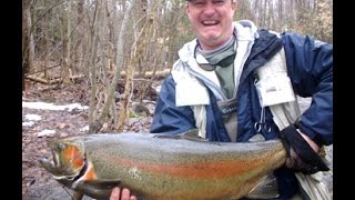 Pulaski NY Salmon River fishing report BIG RUN salmon steelhead drift boat [upl. by Bork819]