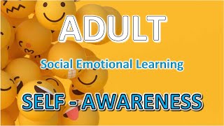 SelfAwareness  Adult Social Emotional Learning  Defined with Examples [upl. by Romilly]