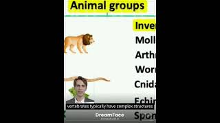 Classifying Animals in 2024 Vertebrates vs Invertebrates  Explained in Detail Generated using AI [upl. by Inger]