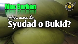 Sa syudad ug bukid  Max Surban Bisayan Song with Lyrics  Greatest Novelty Hits [upl. by Adeline279]