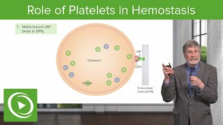 Role of Platelets in Hemostasis  Cellular Pathology [upl. by Adiene]