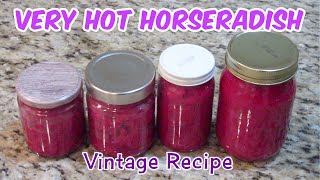 Homemade Horseradish Recipe With Beets  Very Hot Horseradish [upl. by Philipps]