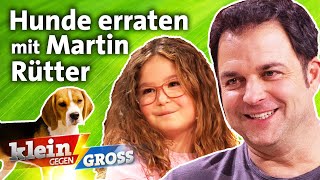 Erkennt Fine 8 mehr Hunderassen als Hundeprofi Martin Rütter  Klein gegen Groß [upl. by Jecoa]