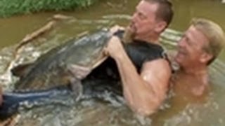 Monster Catfish Wrestling  Hillbilly Handfishin [upl. by Cherry573]