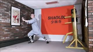 Shaolin Qigong  13 Luohan Forms Movement 4  Double Hands Pushing the Mountain [upl. by Him]