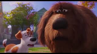 The Secret Life of Pets  Dukes Original Home [upl. by Ozan]