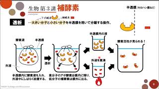 【高校生物】第3講「補酵素」 [upl. by Haldas556]