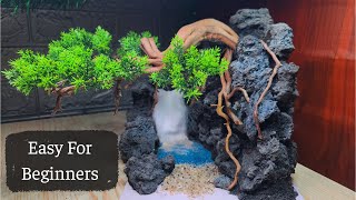 Step By Step Making A Aquascape Bonsai For Beginners [upl. by Egdamlat]