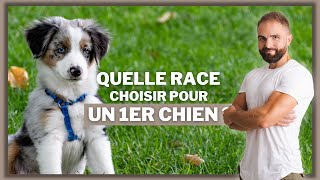 Quelle race choisir pour un 1er chien [upl. by Lewan]