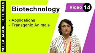 Biotechnology  NEET  Transgenic Animals  Neela Bakore Tutorials [upl. by Enomar594]