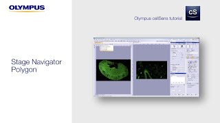 cellSens Tutorial Stage Navigator Polygon [upl. by Falo]