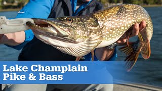 Lake Champlain Pike and Bass  S15 E06 [upl. by Mcleod375]