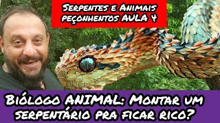 Biólogo ANIMAL ganhar dinheiro com veneno de serpente Serpentes e Animais peçonhentos parte 4 [upl. by Hollenbeck]