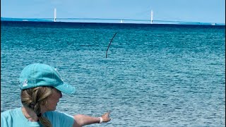 Rockhounding Near The Mackinac Bridge On Lake Michigan Purple Rocks Northern Michigan [upl. by Sirah]