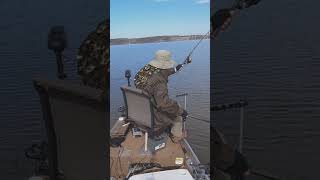 Catching a BIG crappie with fullscreen LiveScope footage of the catch Fishing with LiveScope [upl. by Aiym]