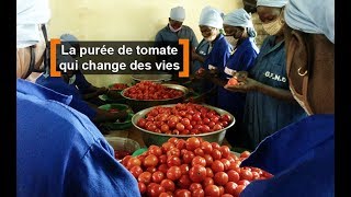 Burkina Faso  La purée de tomate qui change des vies [upl. by Apur]