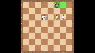 Chess Endgames Checkmate with Two Bishops [upl. by Horlacher]