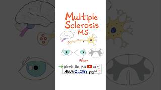 Multiple Sclerosis MS Demyelinating Autoimmune Disease  Part 2…biology science neuro anatomy [upl. by Liebermann538]