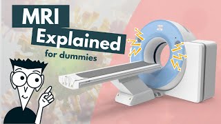 How does an MRI work  MRI basics explained  Animation [upl. by Con]