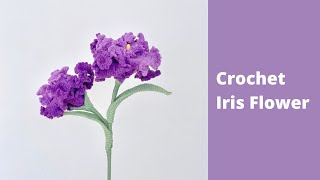 How to Crochet Iris Flowers ✿ Crochet Flower Bouquet Easy Tutorial [upl. by Jodie429]