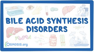 Bile synthesis disorders NORD [upl. by Dart]