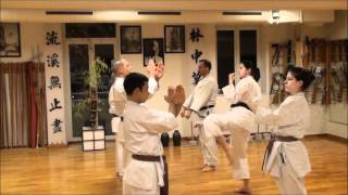 ShorinRyu Seibukan Karate  Germany [upl. by Amein]