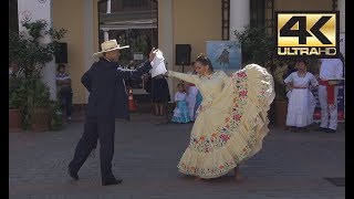 Baile típico de Perú  MARINERA NORTEÑA 4K [upl. by Moe]