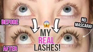 HOW TO GROW YOUR LASHES  MAXEYLASH SERUM BEFORE AND AFTER  GLAMNANNE [upl. by Enelrahc]